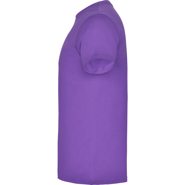 BEAGLE - Roly